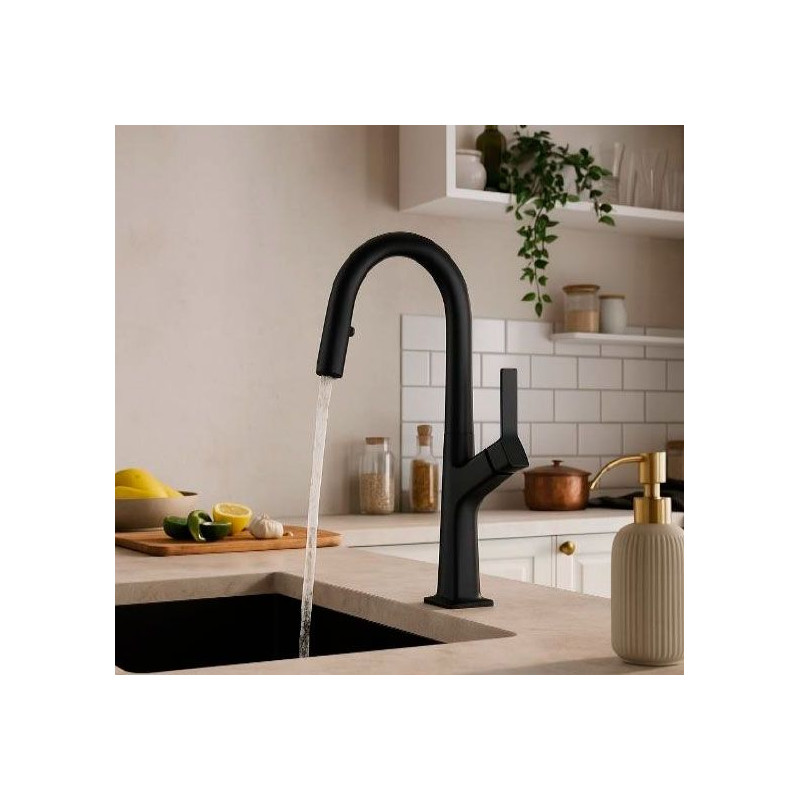 Grifo monomando Nova FR41GM, extraible, gunmetal,