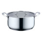 Sarten Haeger PA20H002A, 20cm, inox