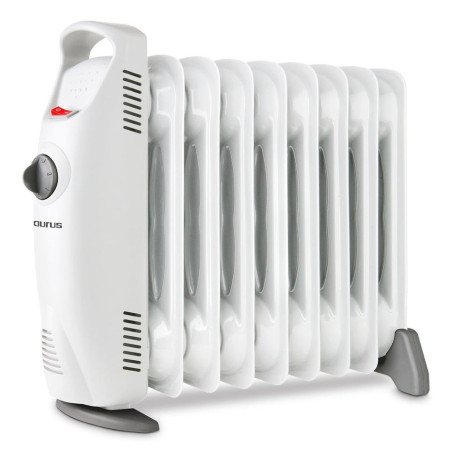 Radiador Aceite Taurus MASAI 1000, 935013000